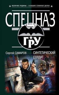 Михаил Серегин - Последняя стрелка