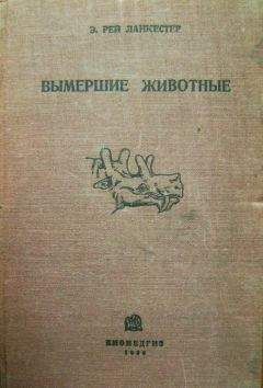 Роман Ласуков - Обитатели водоемов