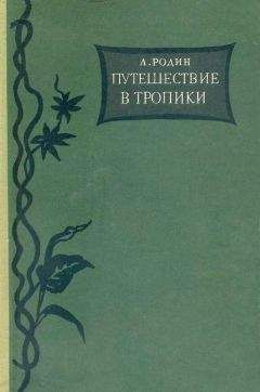 Дмитрий Зуев - Времена года