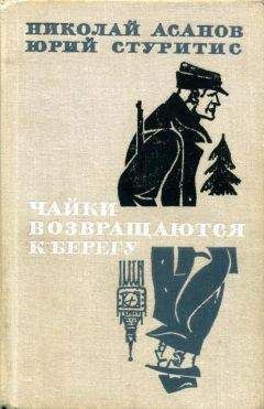 Николай Асанов - Чайки возвращаются к берегу. Книга 2