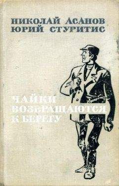 Николай Асанов - Чайки возвращаются к берегу. Книга 2