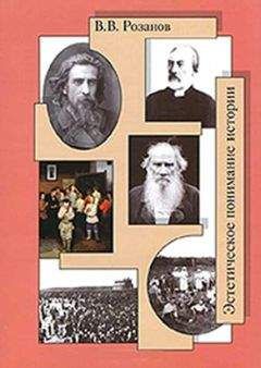 Василий Розанов - Цель человеческой жизни