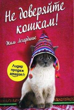 Леонид Рудницкий - Бомж городской обыкновенный