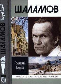 Варлам Шаламов - Несколько моих жизней: Воспоминания. Записные книжки. Переписка. Следственные дела