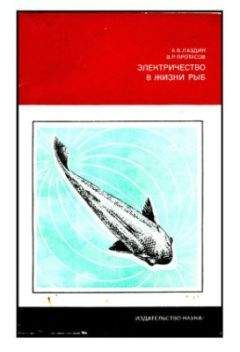 В. Алексеев - Простейшие. Губки. Кишечнополостные. Плоские черви. Круглые черви