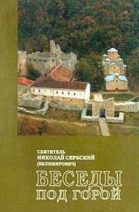 Святитель Николая Сербский Велимирович - Символы и сигналы