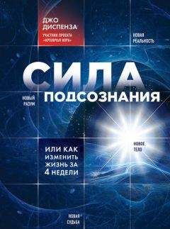 Михаил Радуга - Фаза. Взламывая иллюзию реальности