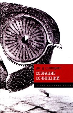 Джером Сэлинджер - Океан, полный шаров для боулинга