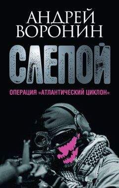 Андрей Воронин - Слепой. За гранью