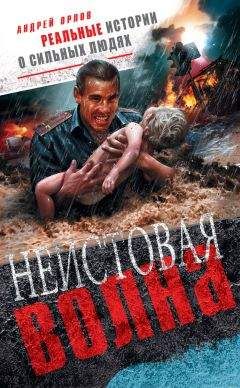 Нельсон Демилль - Слово чести