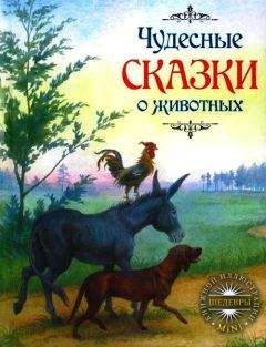 Оксана Онисимова - Добрый дракон, или 22 волшебные сказки для детей