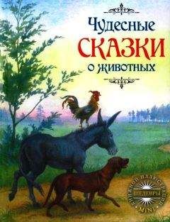  Коллектив авторов - Сказки о животных и волшебные сказки