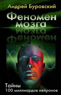 Антон Буслов - Между жизнью и смертью. Рассказ человека, который сумел противостоять болезни