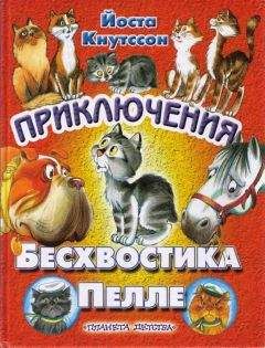 Владислав Крапивин - Чоки-чок, или Рыцарь Прозрачного Кота