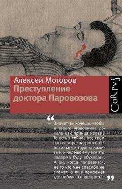 Андрей Шляхов - Доктор Данилов в поликлинике или Добро пожаловать в ад!