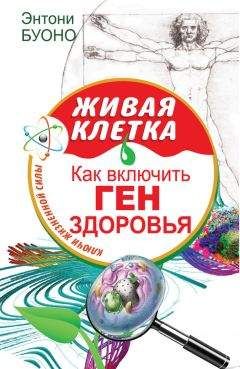  Учитель - Энергетическое дыхание по Коновалову. Природное здоровье