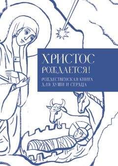 Владимир Крупин - Незакатный свет. Записки паломника