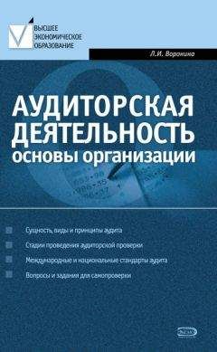 Виталий Семенихин - Налоговые проверки. Как с достоинством выдержать визит инспекторов