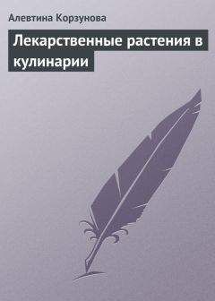 Ольга Климова - Живица Земная. Советы и рецепты от известного травника