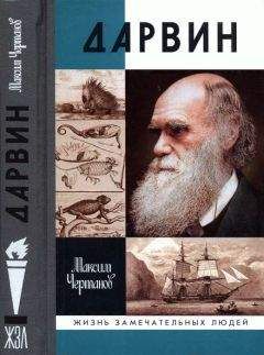 Максим Чертанов - Хемингуэй