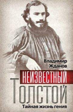 Александр Николюкин - Розанов