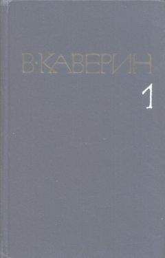 Вениамин Каверин - Двухчасовая прогулка
