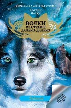 Вольфганг Хольбайн - Тор. Разрушитель