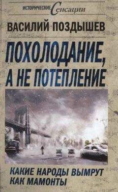 Борис Стрельников - Путешествие будет опасным