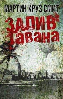 Майкл Смит - Открытые двери