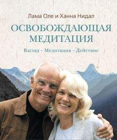 Дэвид Годман - Жизнь с Раманой Махарши