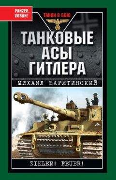 Михаил Барятинский - Танковые асы Гитлера