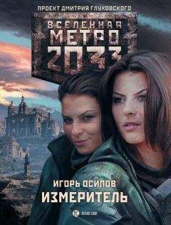 Валерий Пылаев - Метро 2033. Выборг