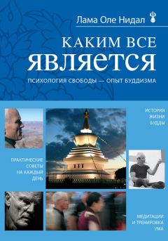 Дэниел Гоулман - Сила добра: Далай-лама о том, как сделать свою жизнь и мир лучше