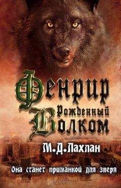 Фиона Макинтош - Мост душ