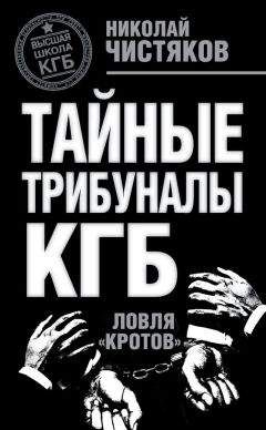 Юрий Орлов - Прокуроры двух эпох. Андрей Вышинский и Роман Руденко