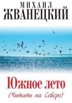 Андрей Кнышев - Тоже книга