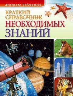 Владимир Менделев - Справочник необходимых знаний
