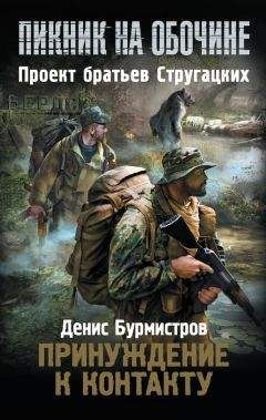Денис Куприянов - Крейсер туманного неба
