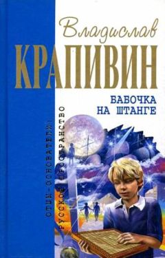 Владислав Крапивин - Выстрел с монитора