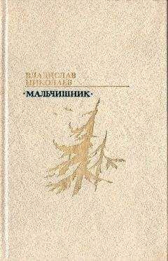 Сергей Снегов - В поисках пути