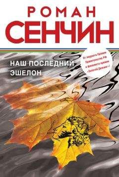Василий Яновский - Портативное бессмертие (сборник)