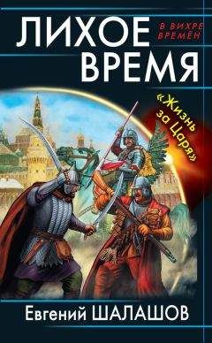 Евгений Токтаев - Тени надежд