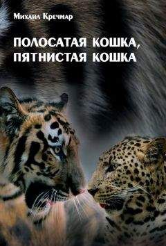 А. Железный - Наш друг граммпластинка. Записки коллекционера