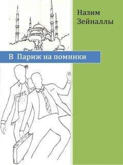 Сергей Костин - Пако Аррайя. В Париж на выходные