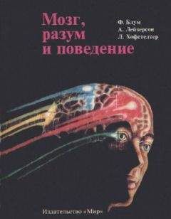 Борис Сергеев - Как мозг учился думать
