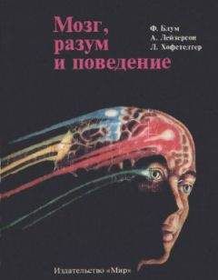 Дэвид Хьюбел - Глаз, мозг, зрение