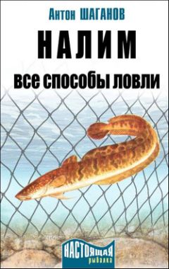 Константин Сторожев - Зимняя рыбалка. Особенности ловли. Снасти. Техника