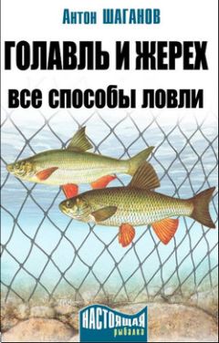 Павел Мотин - Большая иллюстрированная энциклопедия рыбалки. Зима. Весна. Лето. Осень