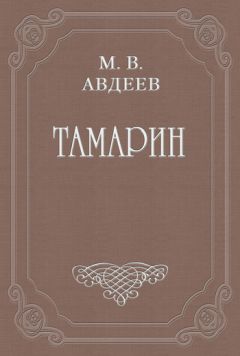 Михаил Авдеев - Тетрадь из записок Тамарина