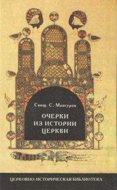 Петр Знаменский - Руководство по истории Русской Церкви